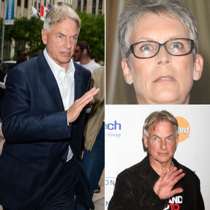 Mark Harmon reveals his true feelings for Jamie Lee Curtis – their bond goes back decades
