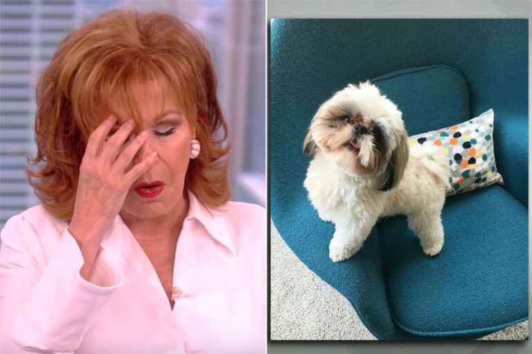 Joy Behar Loses It As She Discusses Her Joke About A Co-Host’s Dead Dog