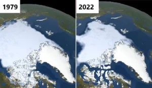 Scientists Warn: Arctic Ice on the Brink of Significant Decline