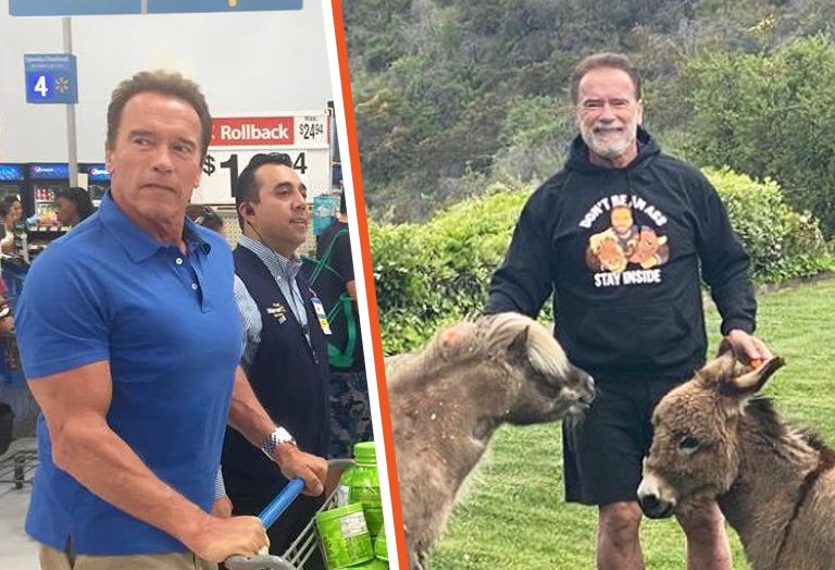 Money can’t buy true happiness, so despite a $400 million fortune, Arnold Schwarzenegger lives a low-key life on his farm.