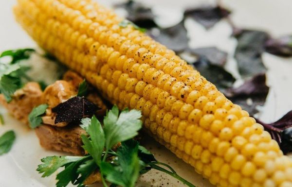 How Long Does It Take to Boil Corn on the Cob to Get Ideal Cooking?