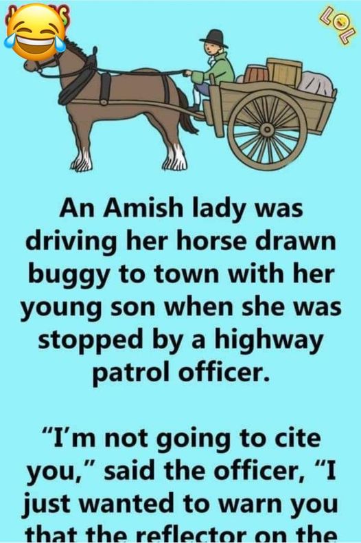 An Amish Lady Driving Her Horse-Drawn Buggy Is Pulled Over By The.