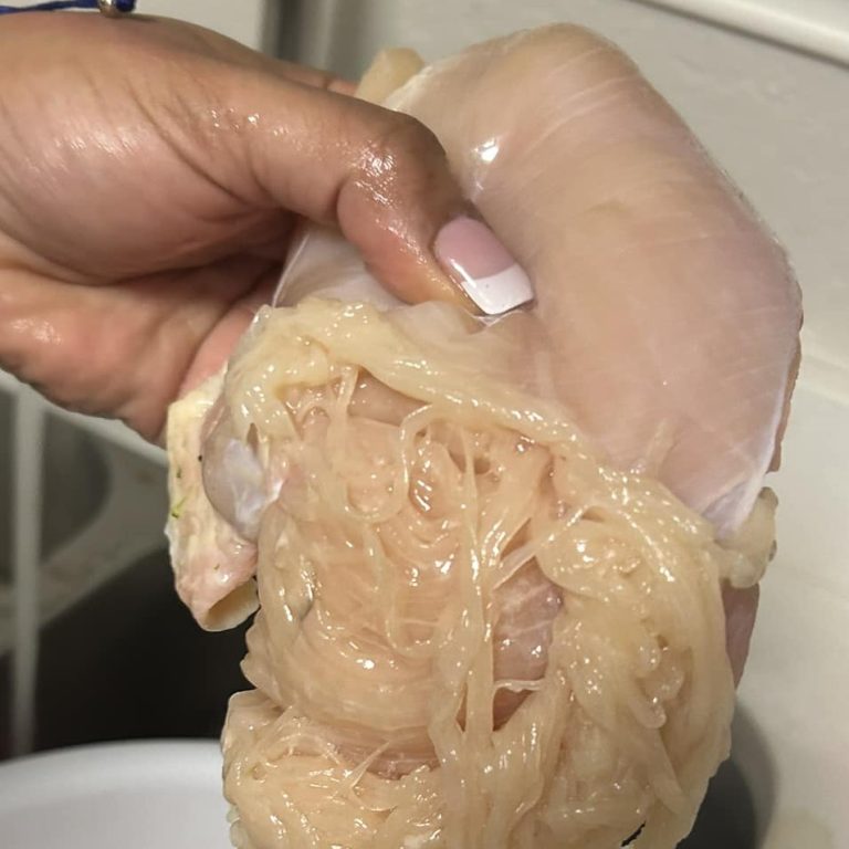 Photo of chicken breast that shreds into spaghetti