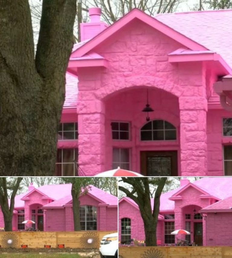 He paints his entire house bright pink, angering his neighbors. But here comes the surprise: the owner will amaze you!