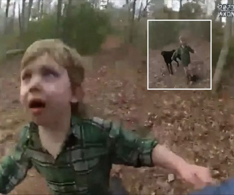 Missing Boy Emerges From Woods, State Troopers Stunned When They See What Animal’s By His Side