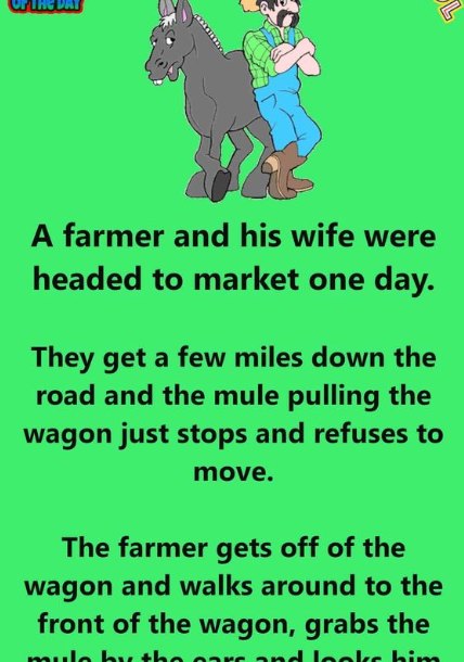 Funny Joke – The Farmer Gives The Mule A Warning