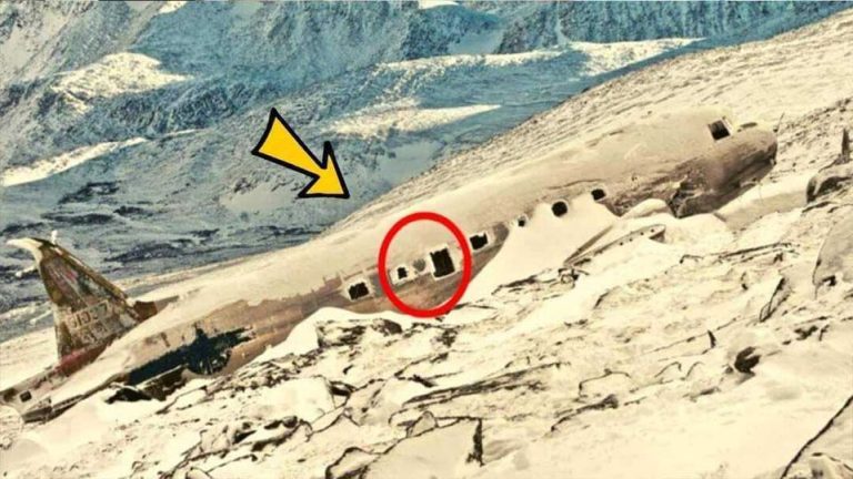 LOST PLANE found after decades researchers are STUNNED when they SEE what’s inside (\/ideo)