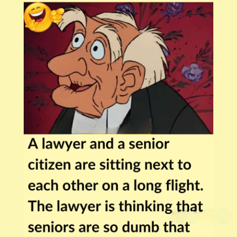 A lawyer and a senior citizen are on a plane