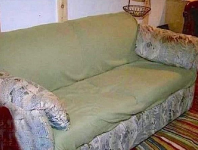 The Unexpected Discovery: A Couch Full of Surprises