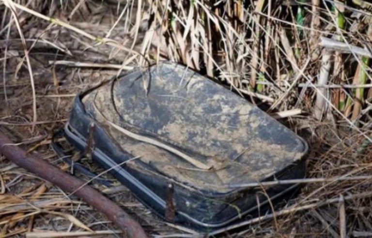 This woman came across an old, filthy luggage in a bush