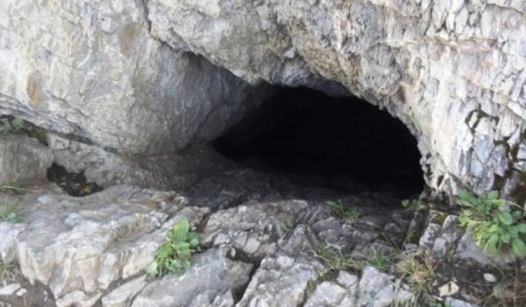 For 25 years, a man has been living alone in a cave with his dog. Take a look inside the cave now!