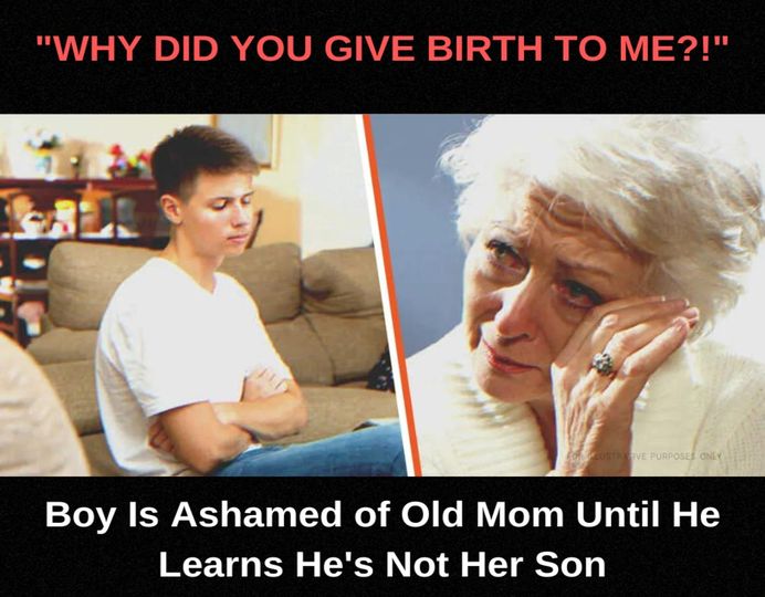 “You’re such an old, boring woman! Everyone thinks you’re my grandmother. Why did you even give birth to me?!” Tim said, irritated that Gloria kept pestering him.