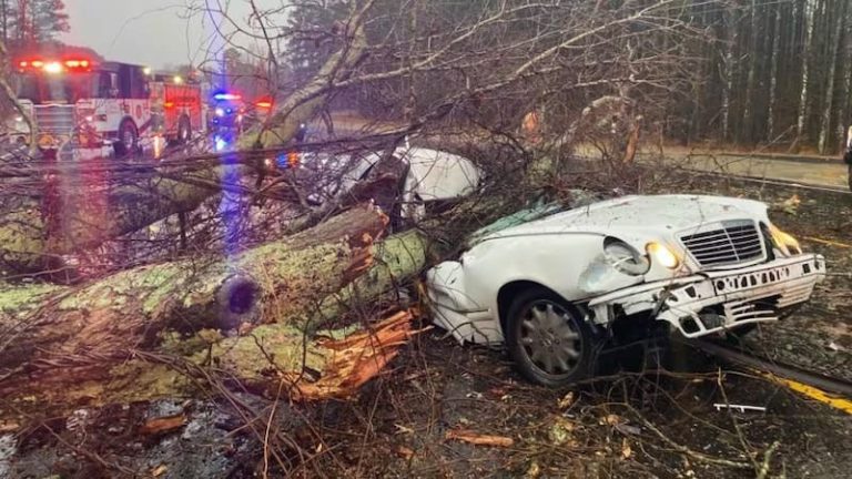 Beloved comedian died today in a tragic accident after a large tree branch fell on top of him