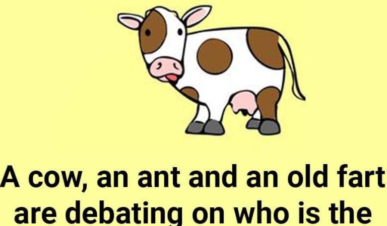 A Cow, An Ant And An Old Fart Are Debating.