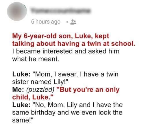 6-Year-Old Boy Said To His Mother That He Found His Twin At School