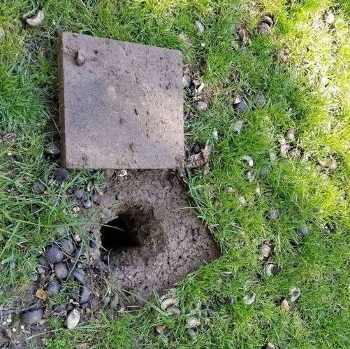 Uncovering History: Unexpected WWII Air Raid Shelter Found Beneath Man’s Driveway