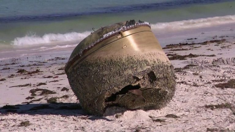 A Mysterious Box Washed Up on Shore—What Was Inside Left Everyone Speechless!