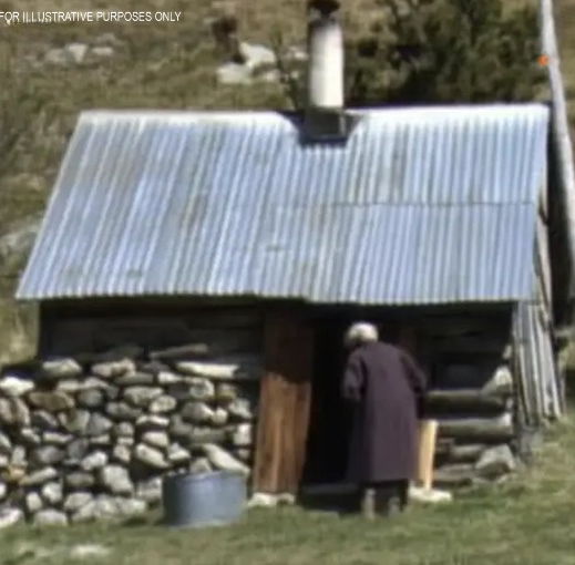 My Elderly Neighbor Visited an Old Shack Every Day at the Same Time – I Nearly Fainted When I Checked inside One Day