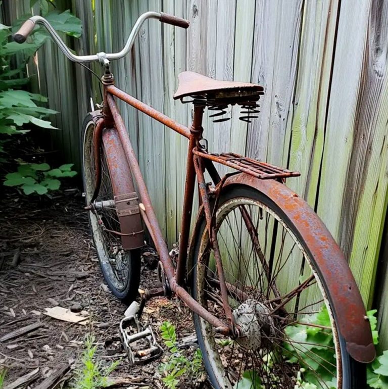 My Uncle Gave Me a Rusty Bike ‘As a Gift’ on My Birthday – When He Saw What I Did with It, He Claimed I Owe Him $3,000