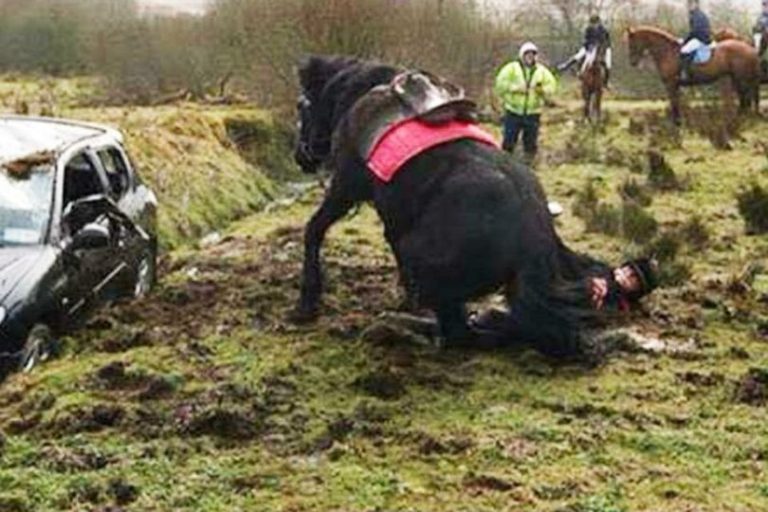 World famous star dies in a freak horse accident.