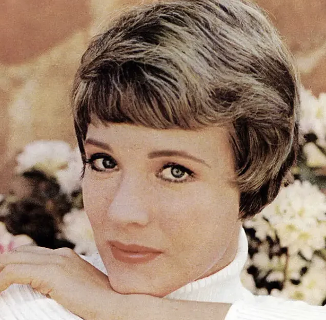 Julie Andrews makes rare public appearance at 87, and everyone’s saying the same thing