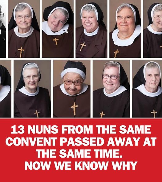 Remembering the 13 nuns in Michigan that passed away at the same time. This is what happened