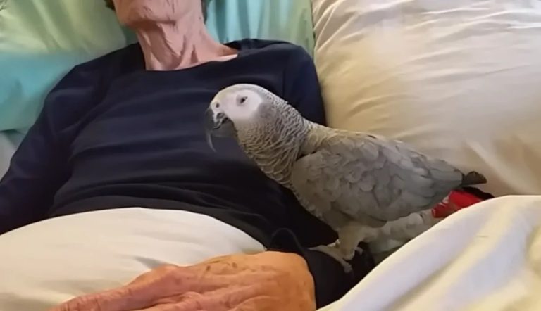 The bird’s instant reaction leaves us in tears