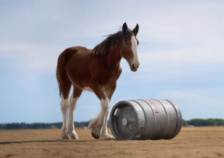 Budweiser’s Emotional New Clydesdale Super Bowl Ad Will Tug at Your Heartstrings