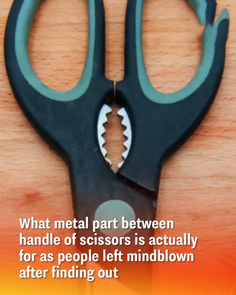 What metal part between handle of scissors is actually for as people left mindblown after finding out