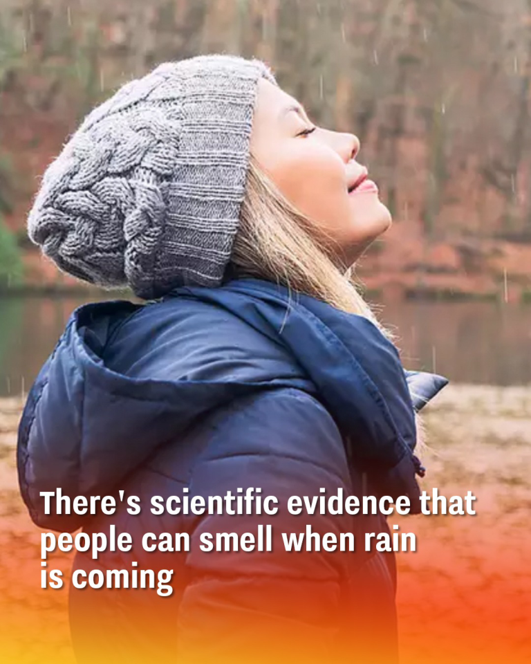 There’s scientific evidence that people can smell when rain is coming