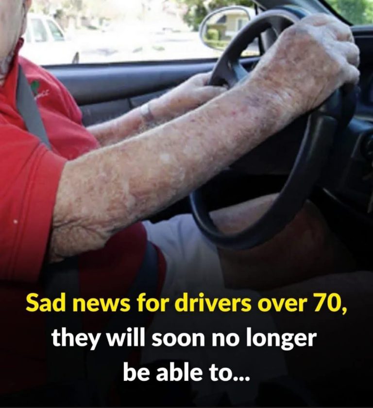 Should Seniors Face Stricter Driving Rules? A New
