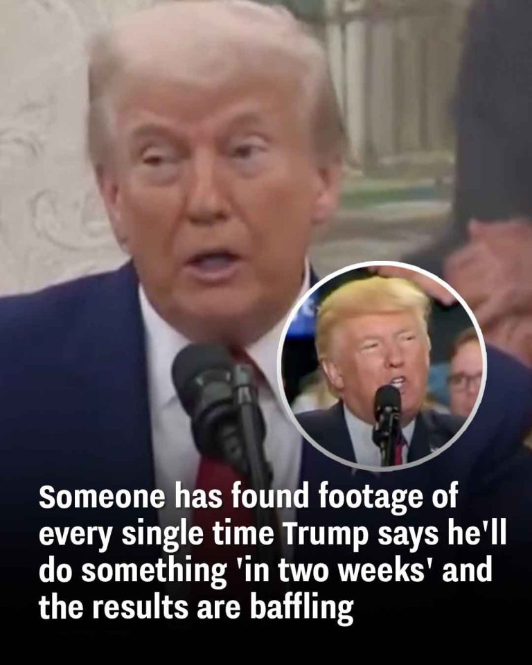 Someone has found footage of every single time Trump says he’ll do something ‘in two weeks’ and the results are baffling