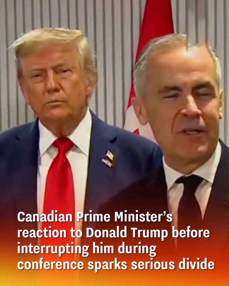 Canadian prime minister’s reaction to Donald Trump before interrupting him during conference sparks serious divide