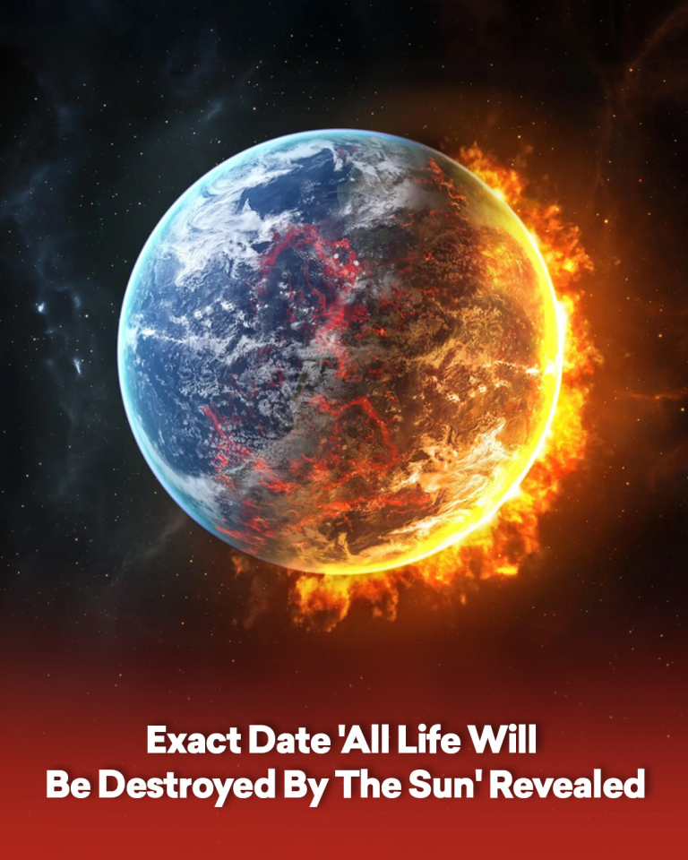 Exact Date ‘All Life Will Be Destroyed By The Sun’ Revealed