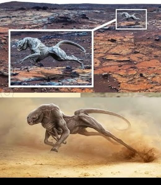 Mystery on Mars: Strange silhouette spotted