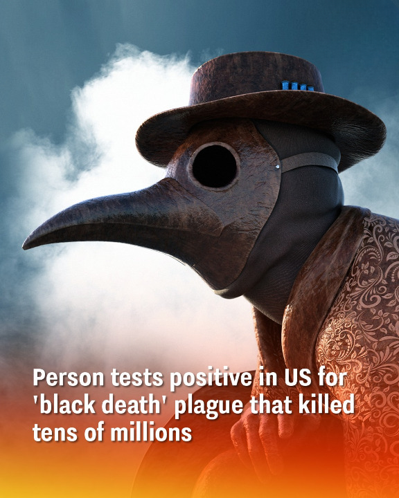 Person tests positive in US for ‘black death’ plague that kil.led tens of millions