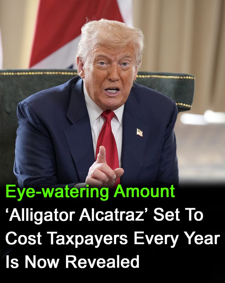 What is the annual cost of Alligator Alcatraz to taxpayers?