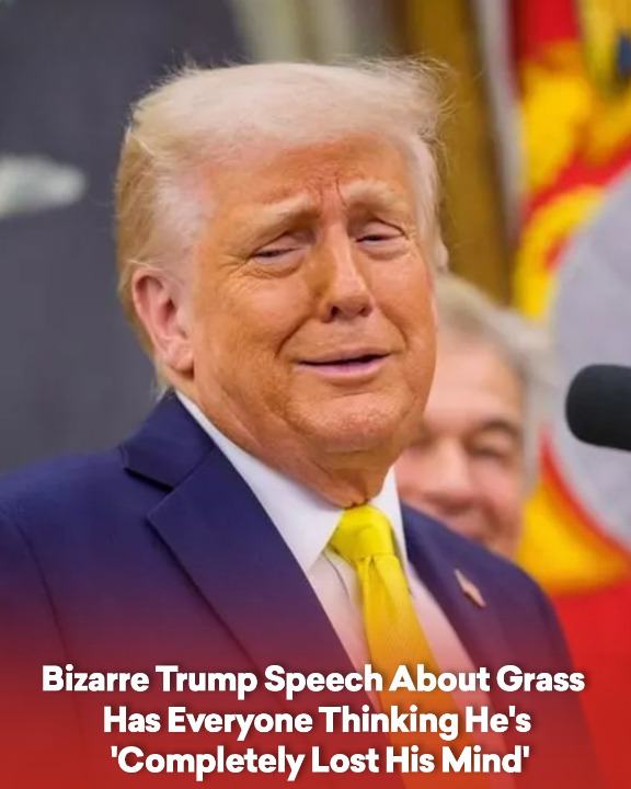 Bizarre Trump Speech About Grass Has Everyone Thinking He’s ‘Completely Lost His Mind’