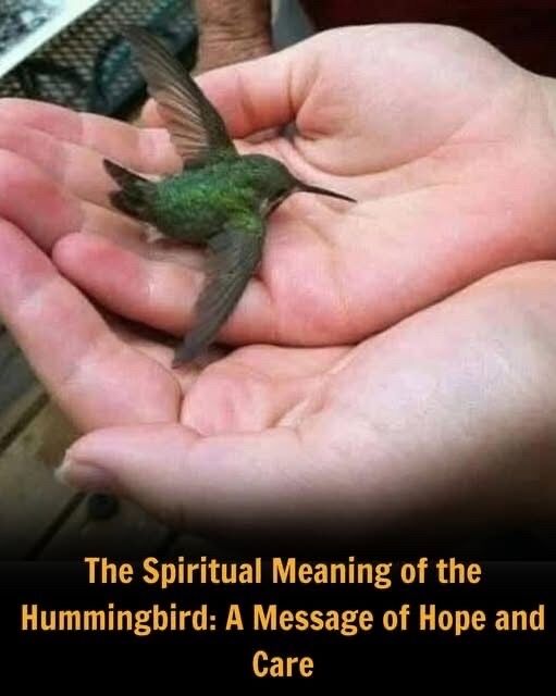 Did You Know That If a Hummingbird Comes to Your Home, It Means Something Special?