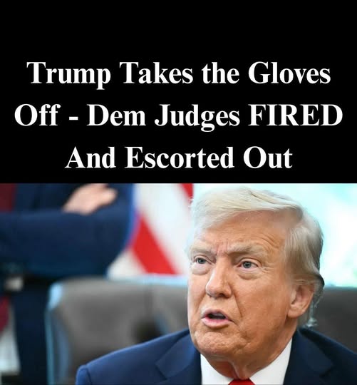 Trump Admin Dismisses Another Immigration Judge in San Fransciso