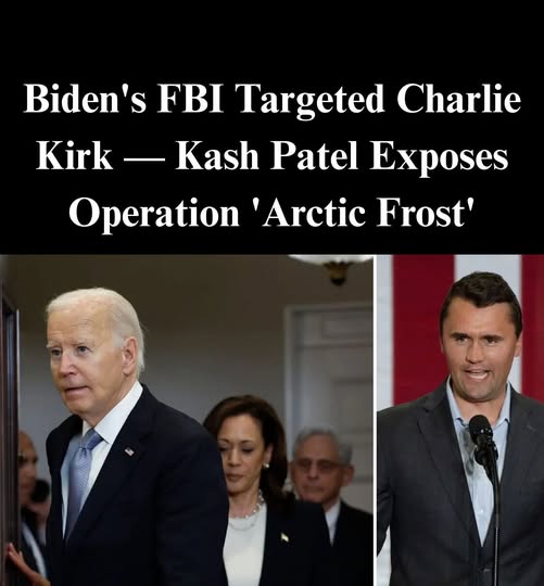 ‘Arctic Frost’: Biden FBI Investigated