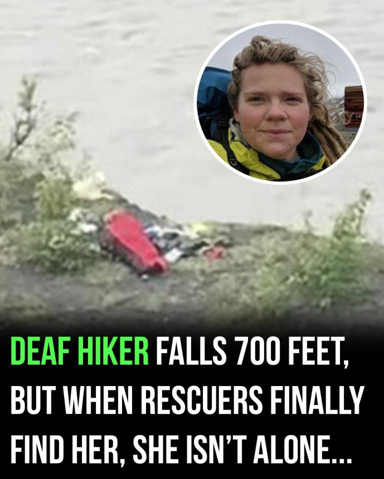 Deaf Hiker Survives 700-Foot Fall With Companion
