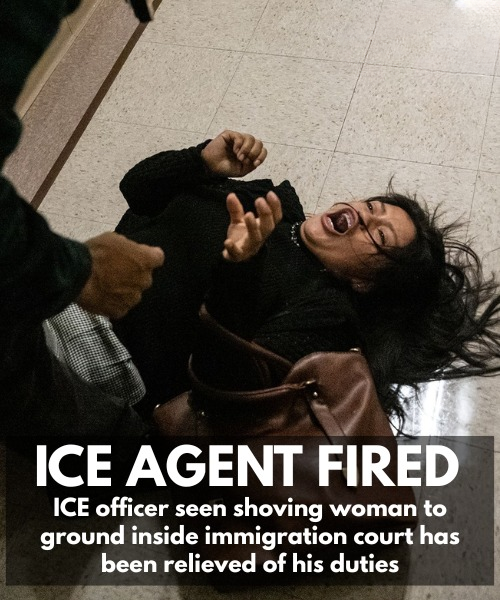 ICE Agent ‘ReIieved’ of Duties After ViraI Video Shows Him Shoving Woman to Ground