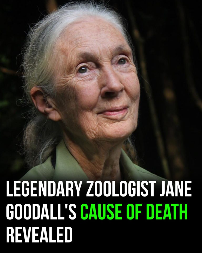 Legendary zoologist Jane Goodall’s