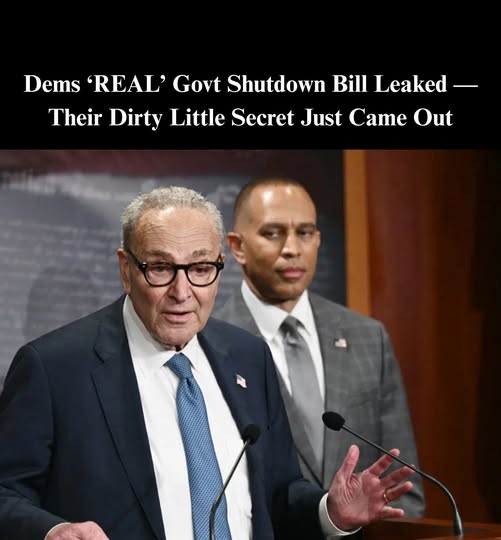 Vance Calls Out Dems for ‘Sleight of Hand’ Trick on Illegal Alien Healthcare