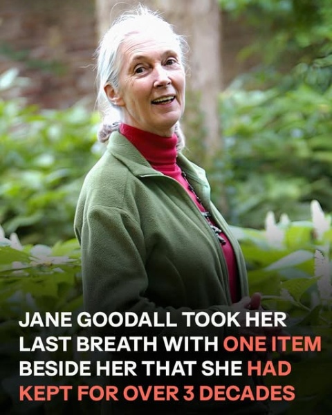 The touching reason Jane Goodall never traveled without her stuffed monkey