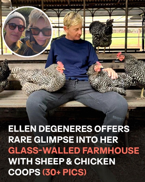 Step Inside Ellen DeGeneres’ Spacious English Country Residence