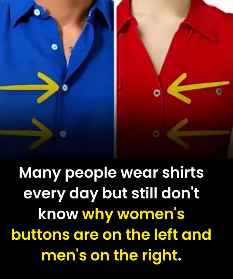 The Curious Reason Women’s Shirts Button on the Left — A Little-Known History