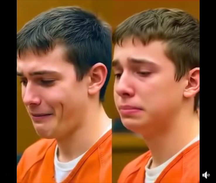 A Mother’s Bold Courtroom Intervention