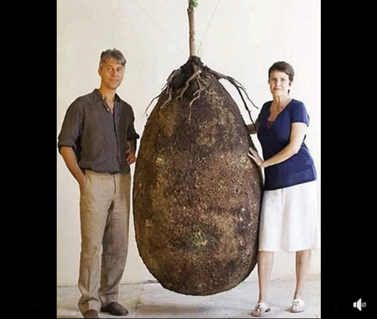 Goodbye to funeral with a coffin